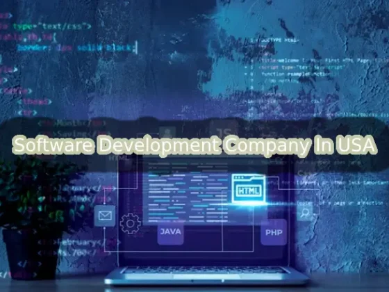 Software Development Company In USA