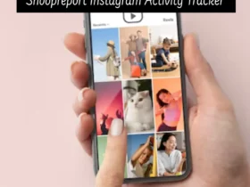 Snoopreport Instagram Activity Tracker