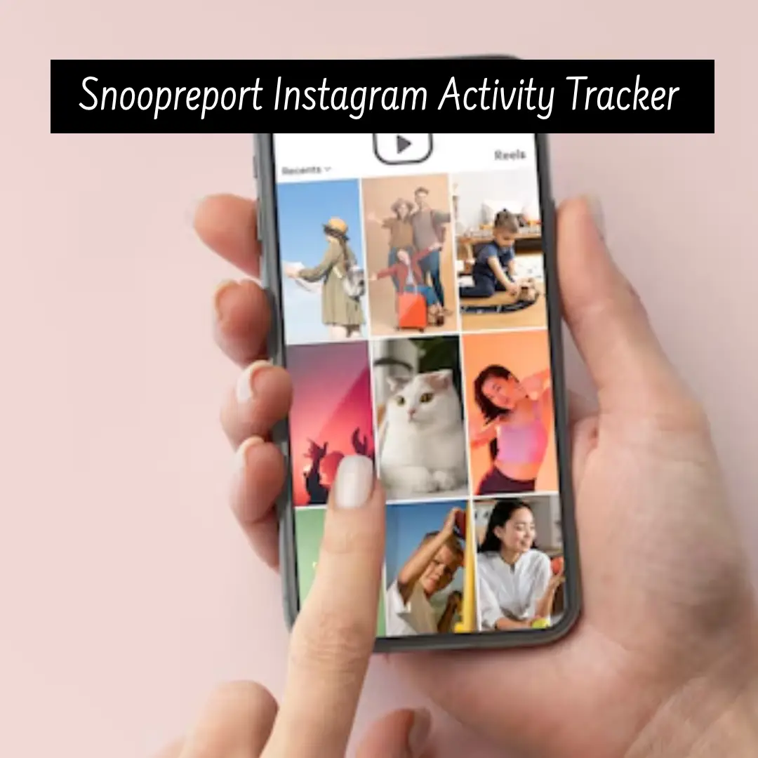 Snoopreport Instagram Activity Tracker