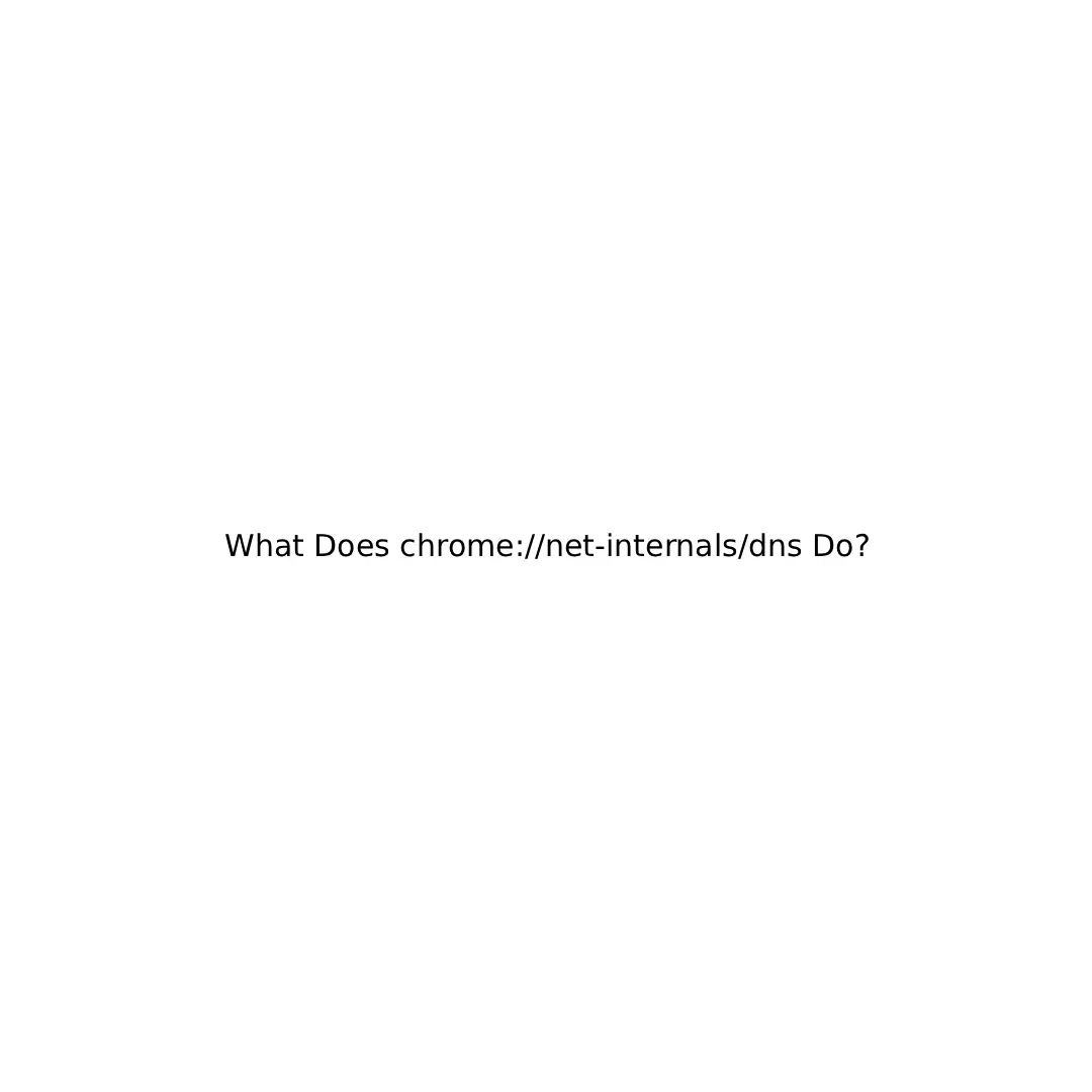 What Does chrome://net‑internals/dns Do?