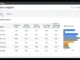 Google Ads Auction Insights report showing competition comparison