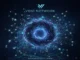 Void Network